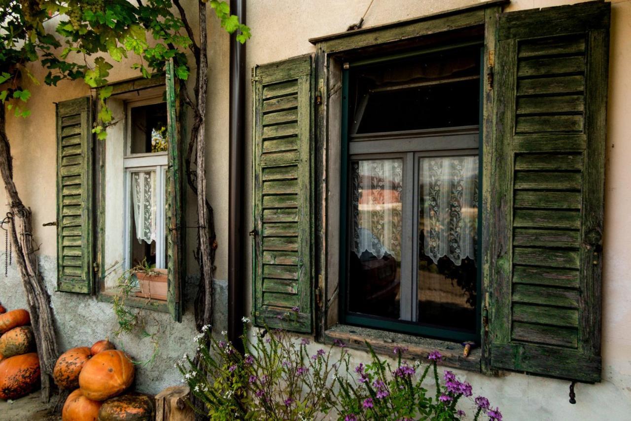 Vila Maxi Sonce, Odprte Vasi Prvacina Exteriér fotografie
